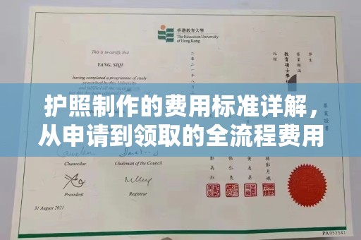 仁武护照制作的费用标准详解，从申请到领取的全流程费用指南