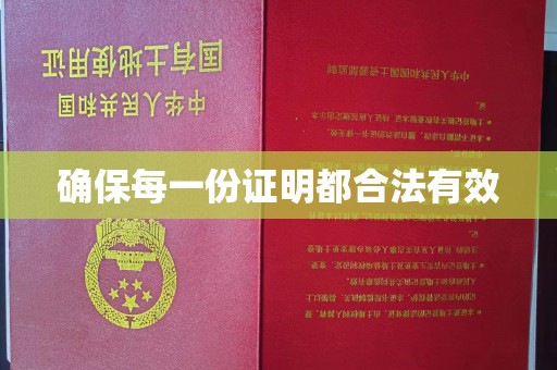 仁武确保每一份证明都合法有效