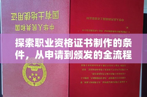 仁武探索职业资格证书制作的条件，从申请到颁发的全流程解析