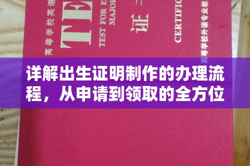仁武详解出生证明制作的办理流程，从申请到领取的全方位指南