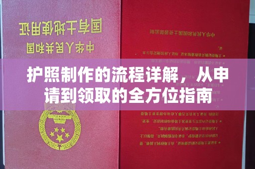 仁武护照制作的流程详解，从申请到领取的全方位指南