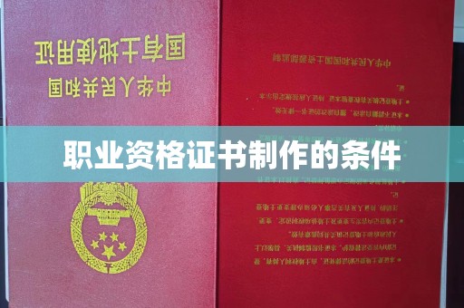 仁武职业资格证书制作的条件