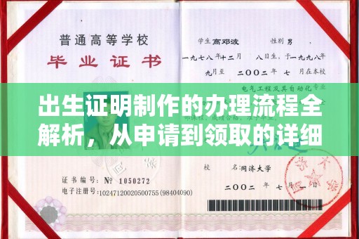 仁武出生证明制作的办理流程全解析，从申请到领取的详细指南