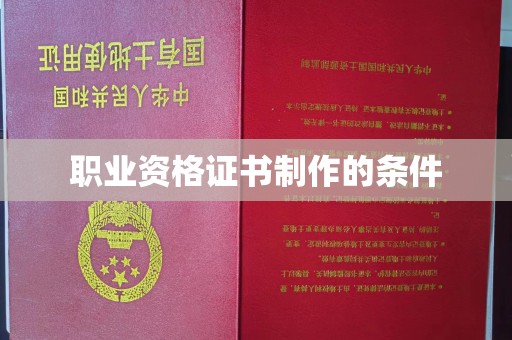 仁武职业资格证书制作的条件
