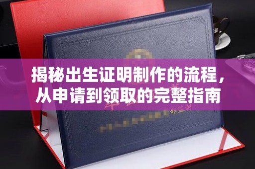 仁武揭秘出生证明制作的流程，从申请到领取的完整指南