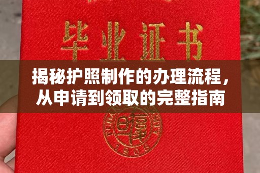 仁武揭秘护照制作的办理流程，从申请到领取的完整指南