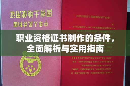 仁武职业资格证书制作的条件，全面解析与实用指南