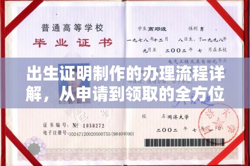 仁武出生证明制作的办理流程详解，从申请到领取的全方位指南